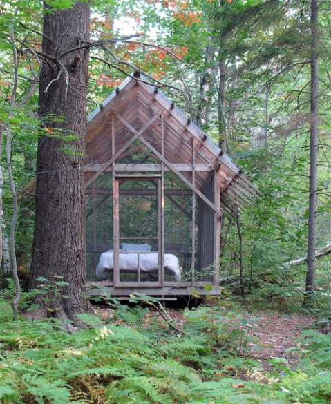 cabbagerosefernhousetumblr_mpqx3nVGh71qb3jnco1_500