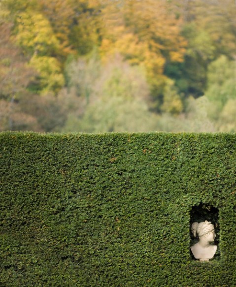 hefge_remashtumblr_mq717qAWeo1qd5e3ao1_500