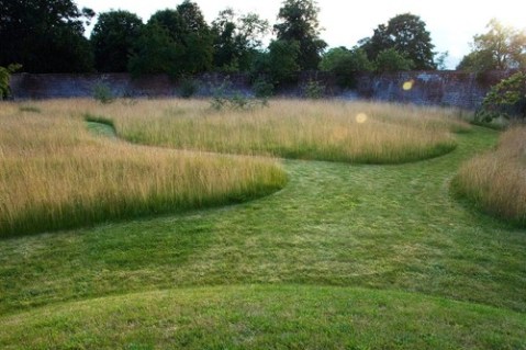 Lawntumblr_mqq97iGLpl1qd5e3ao3_500