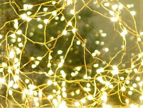 stargazer lights_teraine