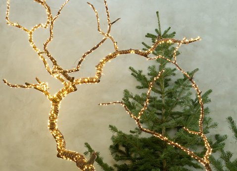 stargazer lights_terrain2crpt