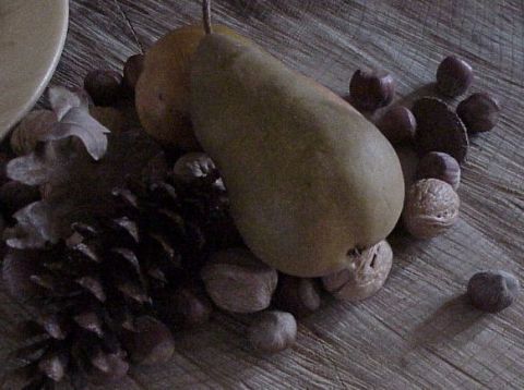 TGpears_nutz_logFcrpt