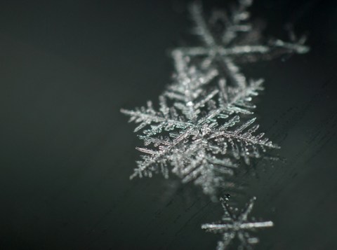 eHorsfordsnowlksimage2