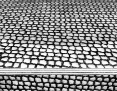 Zaishu-Perspective-crpt