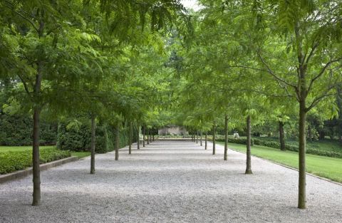 Allee'_n09ud4au7m1redmjco2_r2_1280