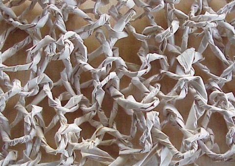 pperyrngoodliteFcrpt