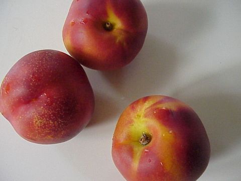 nectarine2F