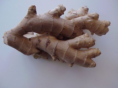 gingerroot3F