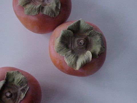 persimmons2F