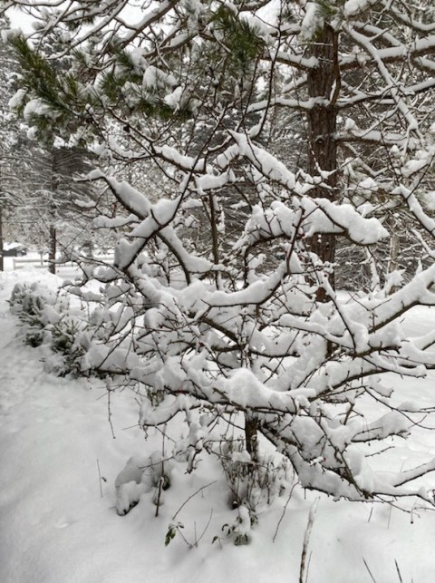 This image has an empty alt attribute; its file name is img_0182.jpg